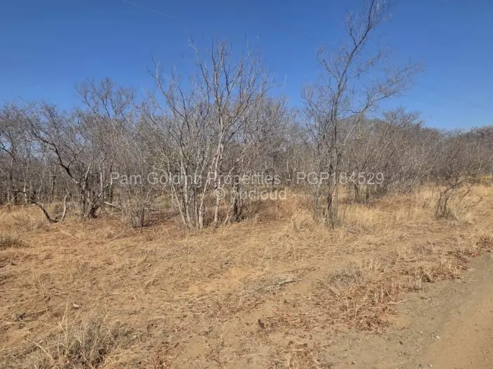 Farm/Plot for Sale in Nyamandlovu, Bulawayo