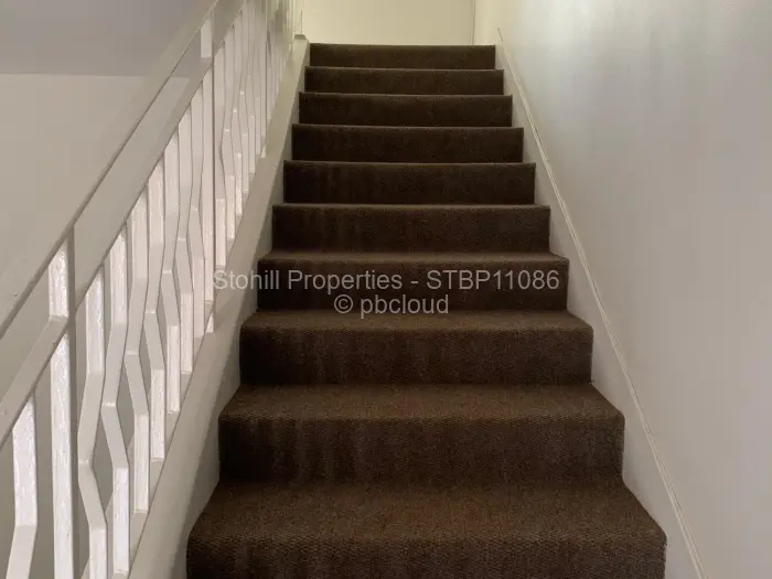 Flat/Apartment to Rent in Avondale