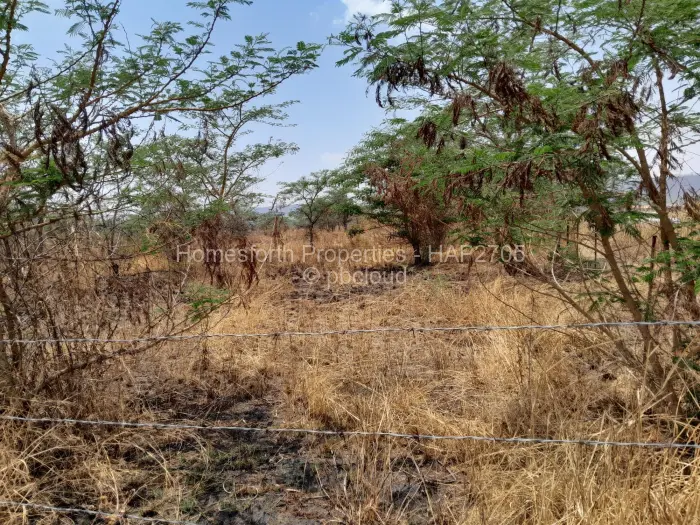 Residential Stand for Sale in Norton, Norton