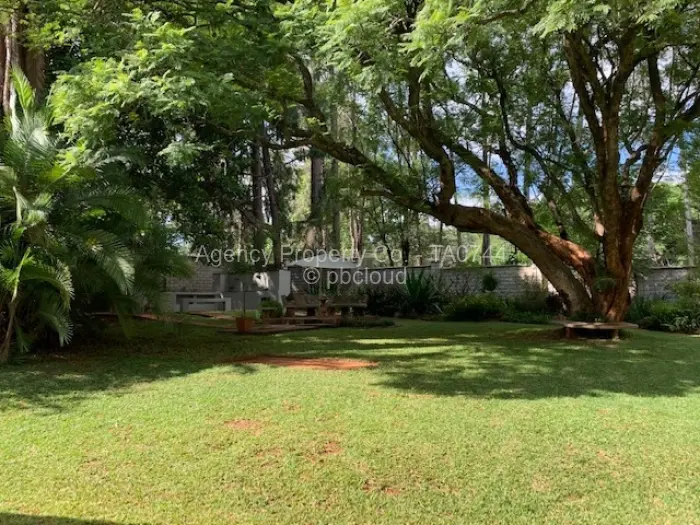 4 Bedroom House to Rent in Chisipite