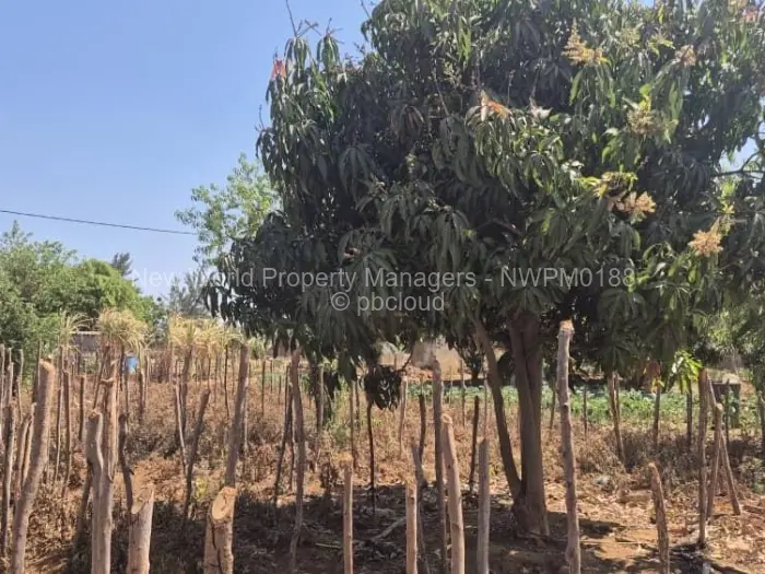 4 Bedroom House for Sale in Norton, Norton