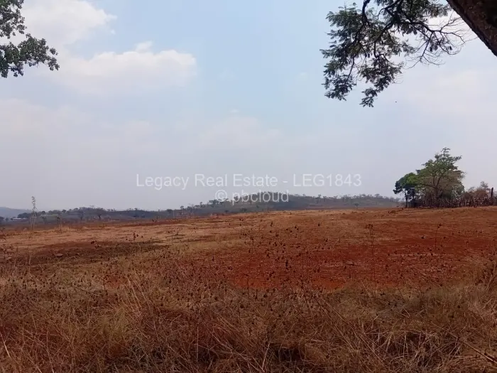 Farm/Plot for Sale in Christon Bank, Christon Bank