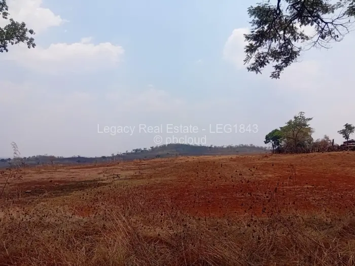 Farm/Plot for Sale in Christon Bank, Christon Bank