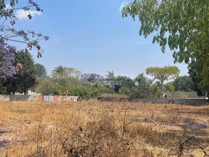 Farm/Plot for Sale in Borrowdale, Harare