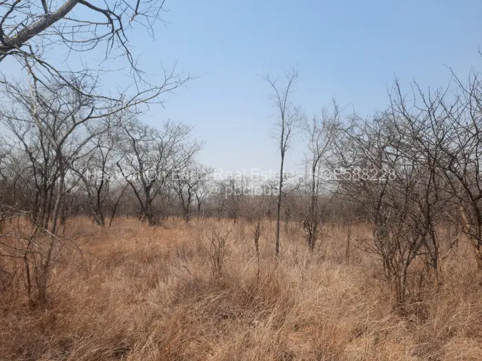 Farm for Sale in Chinhoyi