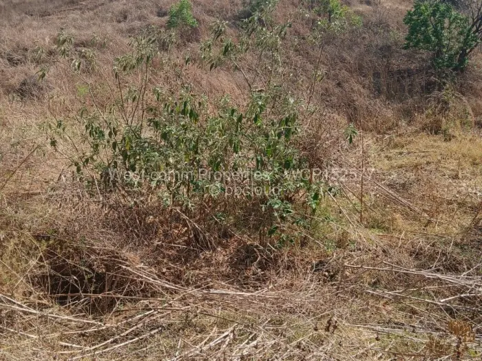 Residential Stand for Sale in Glen Lorne, Harare