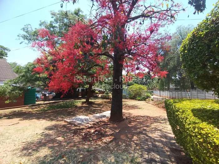 2 Bedroom Cottage/Garden Flat to Rent in Greendale, Harare