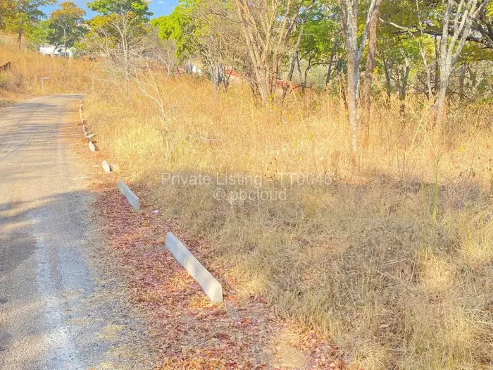 Residential Stand for Sale in Carrick Creagh Estate, Harare