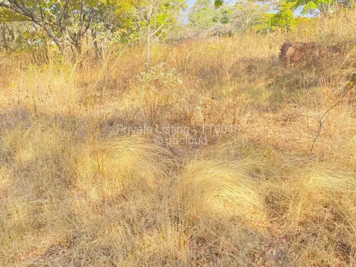 Residential Stand for Sale in Carrick Creagh Estate, Harare