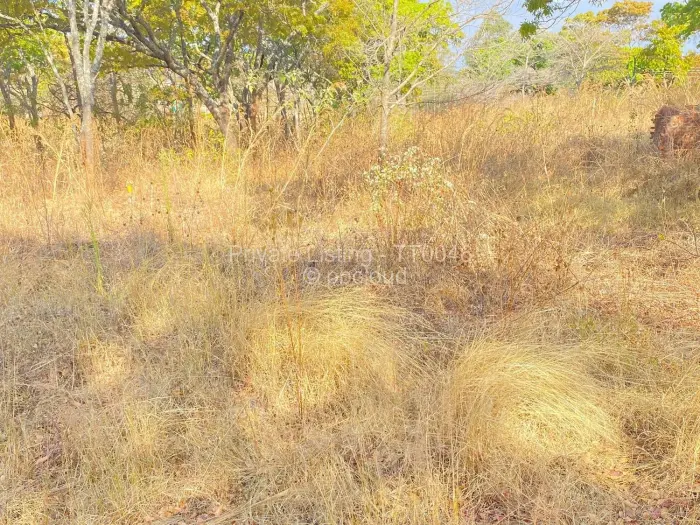 Residential Stand for Sale in Carrick Creagh Estate, Harare