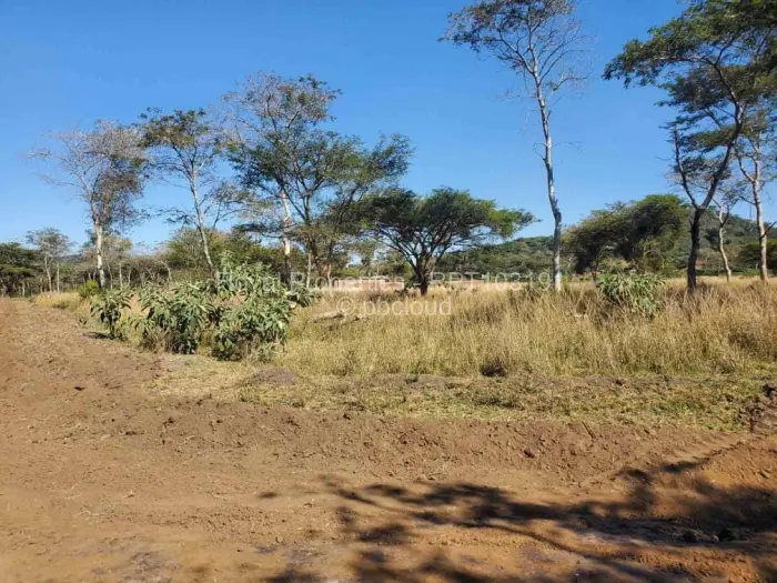 Residential Stand for Sale in Glen Lorne, Harare