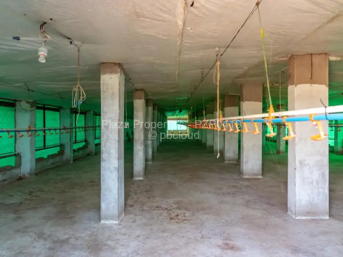 Farm/Plot for Sale in Kadoma, Kadoma