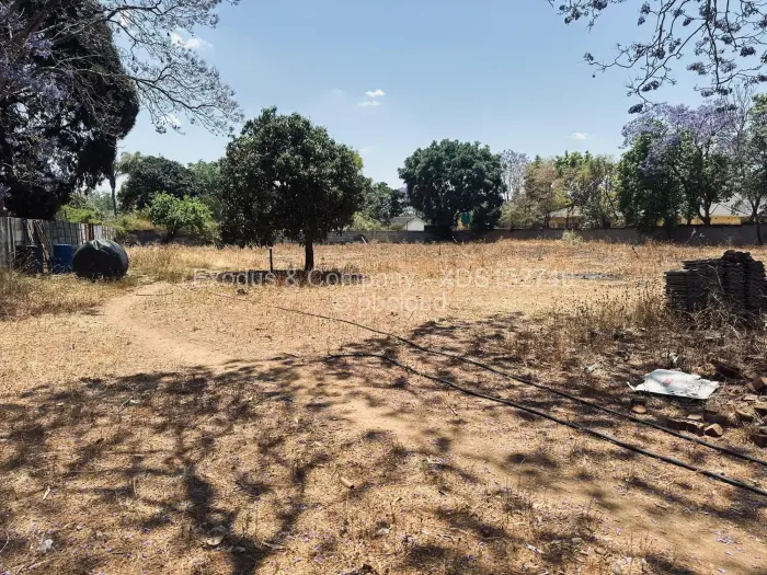 Residential Stand for Sale in Borrowdale, Harare