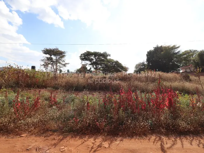 Residential Stand for Sale in Borrowdale, Harare