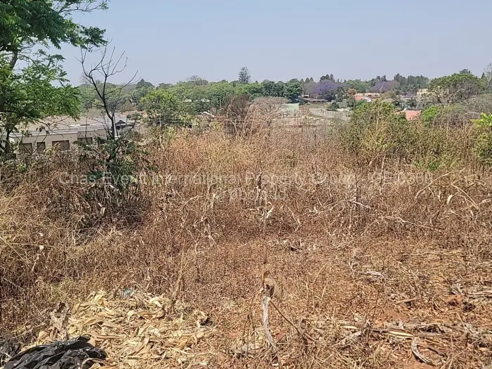 Land for Sale in Borrowdale, Harare