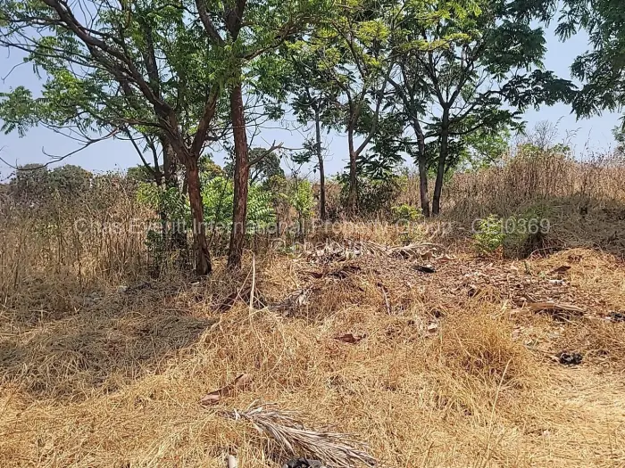 Land for Sale in Borrowdale, Harare
