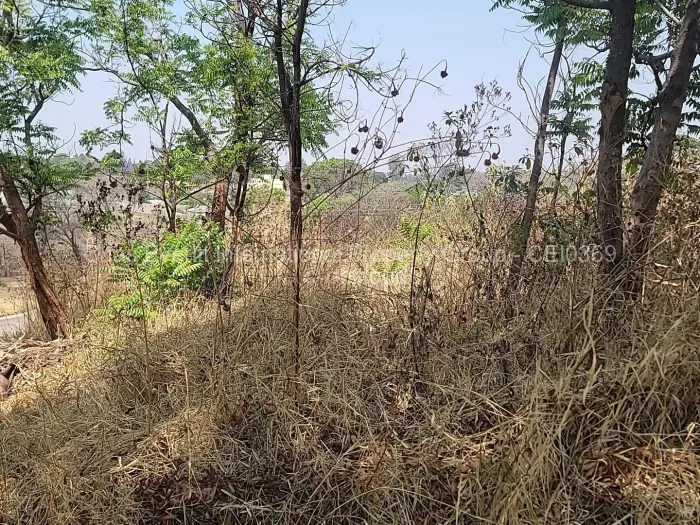 Land for Sale in Borrowdale, Harare