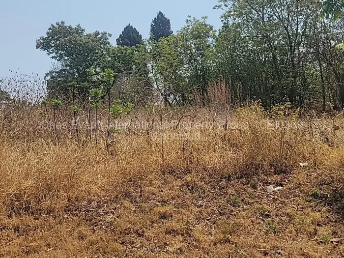 Land for Sale in Borrowdale, Harare
