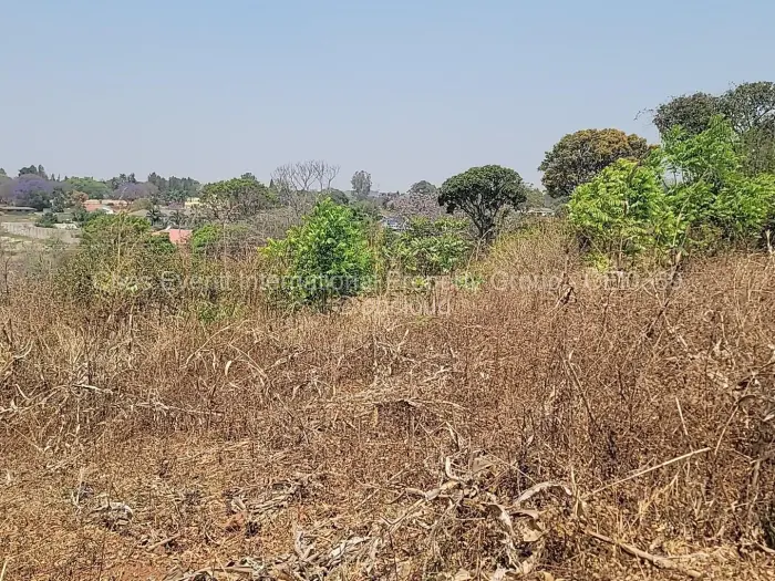 Land for Sale in Borrowdale, Harare