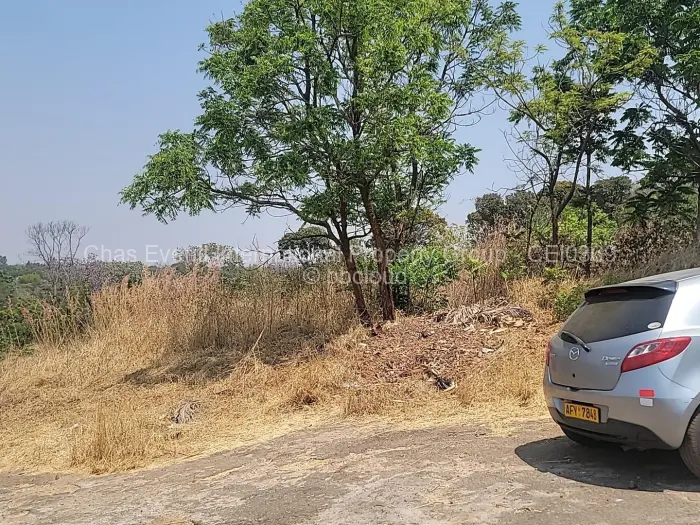 Land for Sale in Borrowdale, Harare