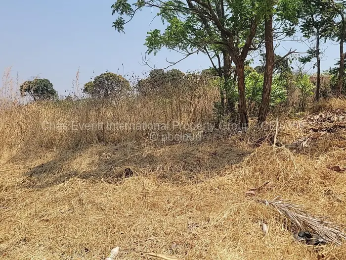 Land for Sale in Borrowdale, Harare