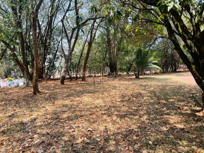 Farm/Plot for Sale in Helensvale, Harare