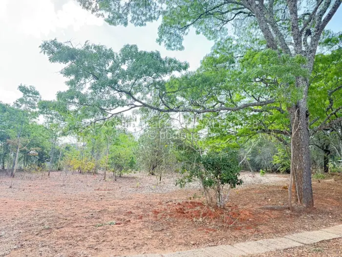 Residential Stand for Sale in Borrowdale Brooke, Harare