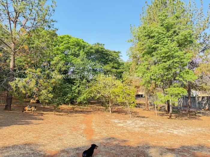 Residential Stand for Sale in Borrowdale Brooke, Harare