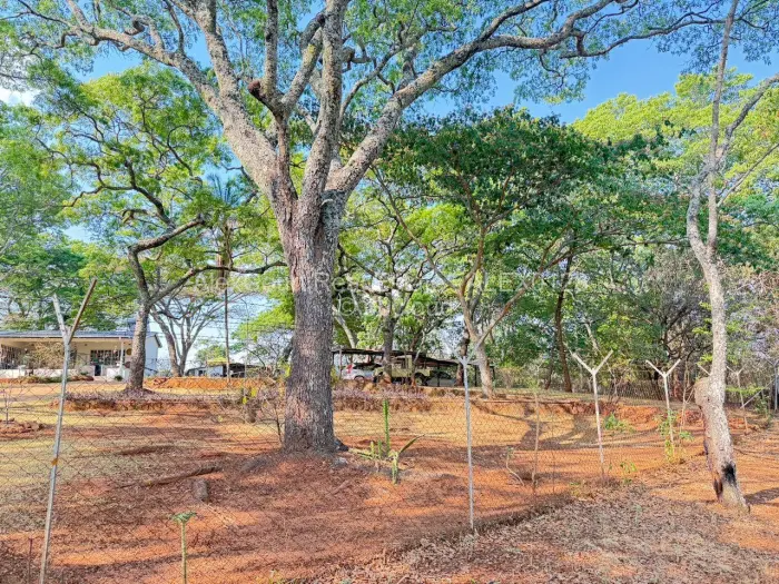 Residential Stand for Sale in Borrowdale Brooke, Harare