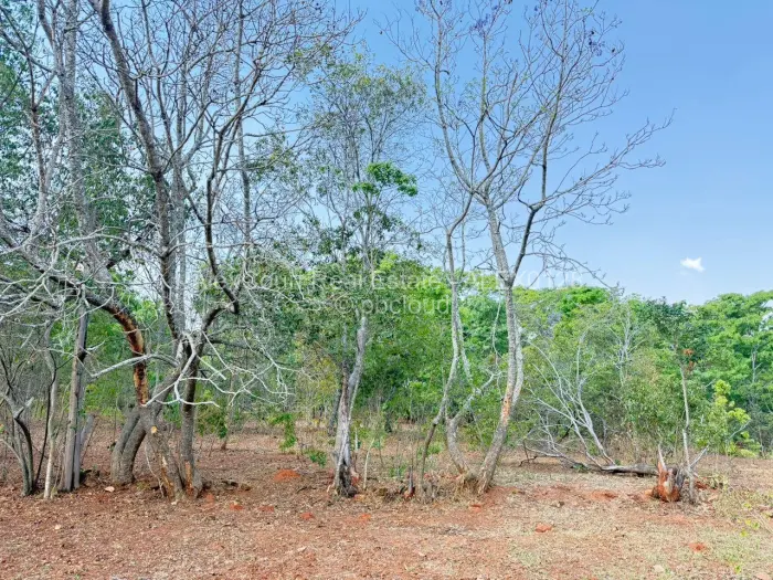 Residential Stand for Sale in Borrowdale Brooke, Harare