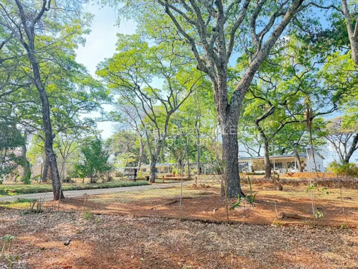 Residential Stand for Sale in Borrowdale Brooke, Harare