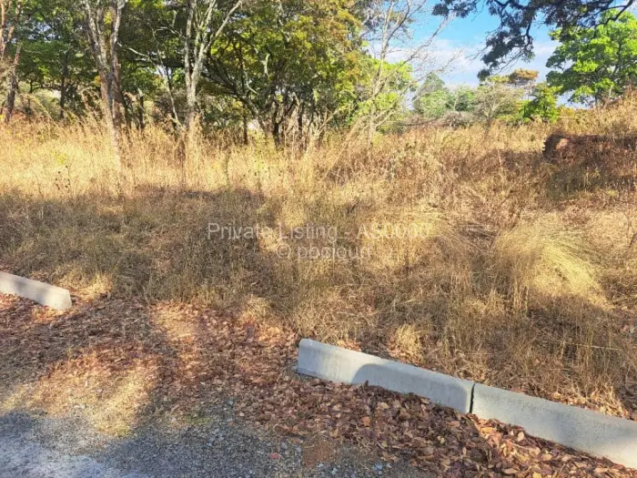 Stand for Sale in Carrick Creagh Estate, Harare