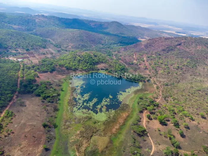 Farm/Plot for Sale in Cromlet, Arcturus