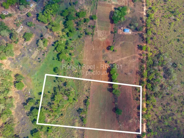 Farm/Plot for Sale in Cromlet, Arcturus