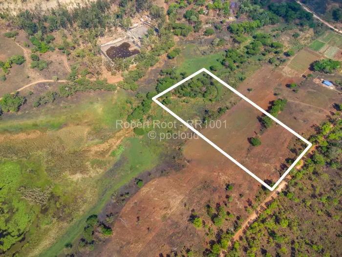 Farm/Plot for Sale in Cromlet, Arcturus