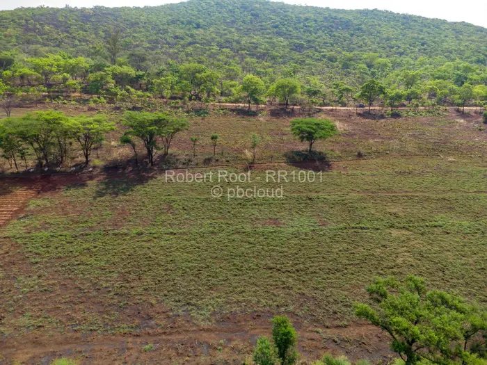 Farm/Plot for Sale in Cromlet, Arcturus