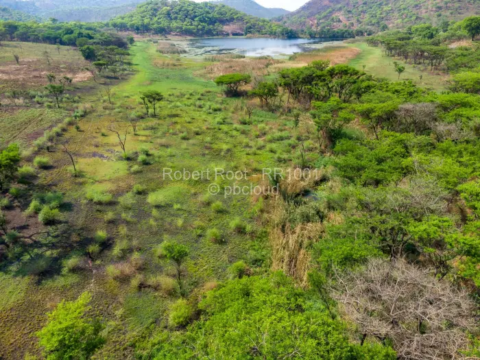 Farm/Plot for Sale in Cromlet, Arcturus