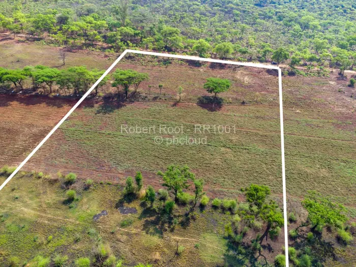 Farm/Plot for Sale in Cromlet, Arcturus