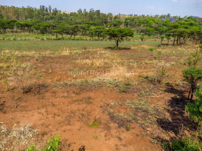Farm/Plot for Sale in Cromlet, Arcturus