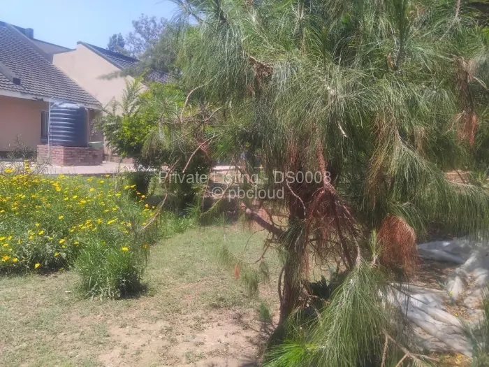4 Bedroom House to Rent in Greendale