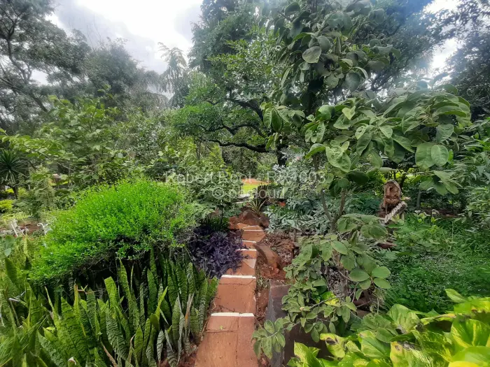 5 Bedroom House to Rent in Bluff Hill, Harare