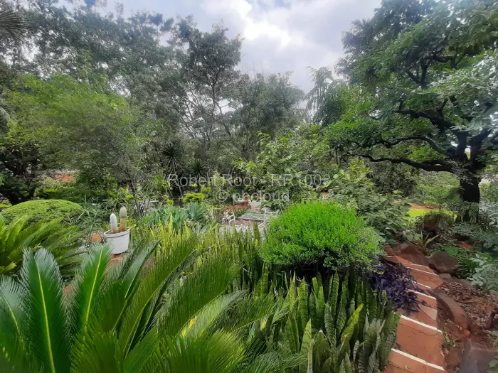 5 Bedroom House to Rent in Bluff Hill, Harare