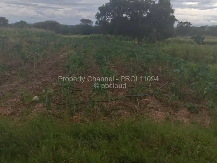 Farm/Plot for Sale in North Trenance, Bulawayo