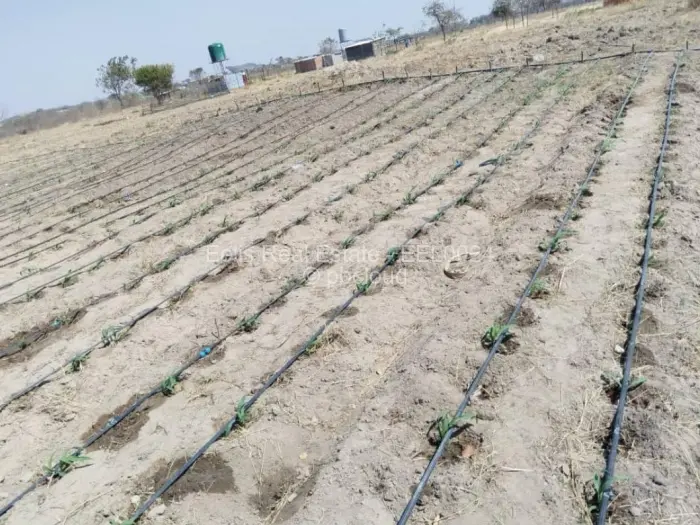 Farm/Plot for Sale in Montgomery, Bulawayo