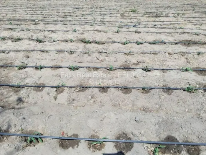 Farm/Plot for Sale in Montgomery, Bulawayo