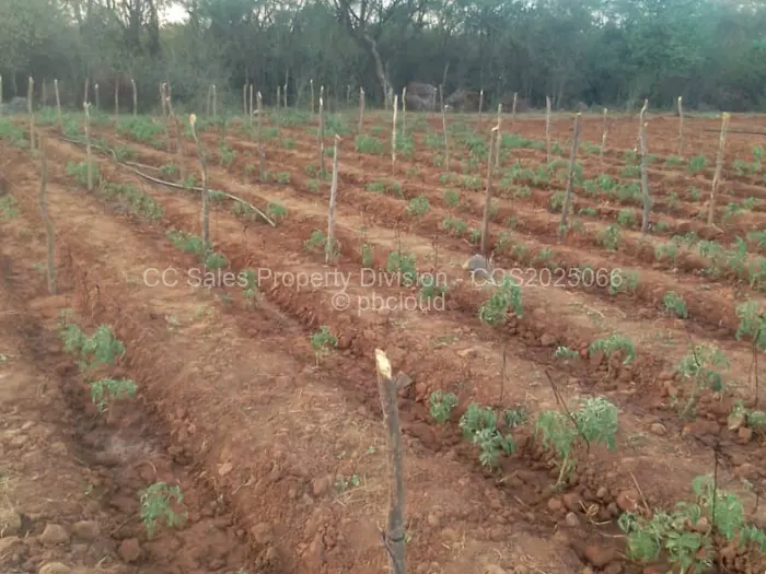 Farm/Plot for Sale in Bubi, Bubi