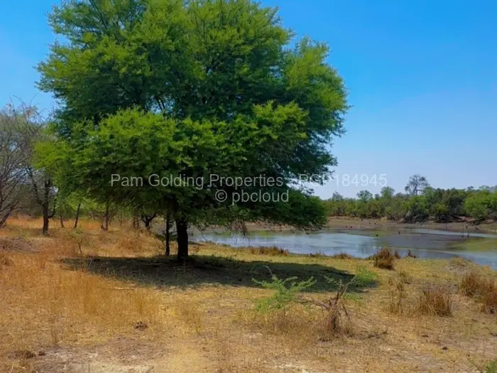 Farm/Plot for Sale in Nyamandlovu, Bulawayo