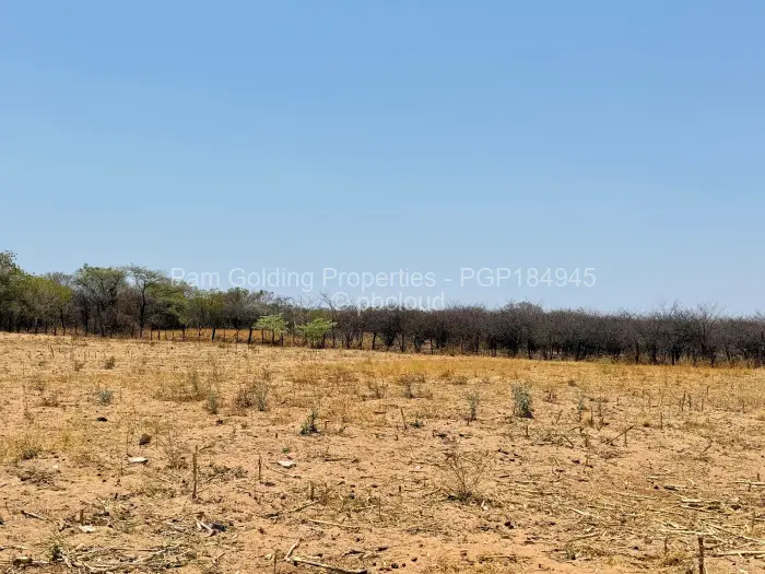 Farm/Plot for Sale in Nyamandlovu, Bulawayo