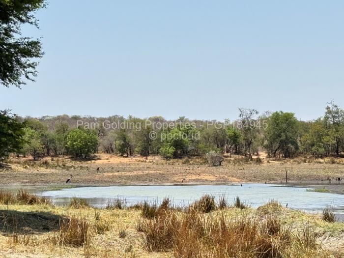Farm/Plot for Sale in Nyamandlovu, Bulawayo
