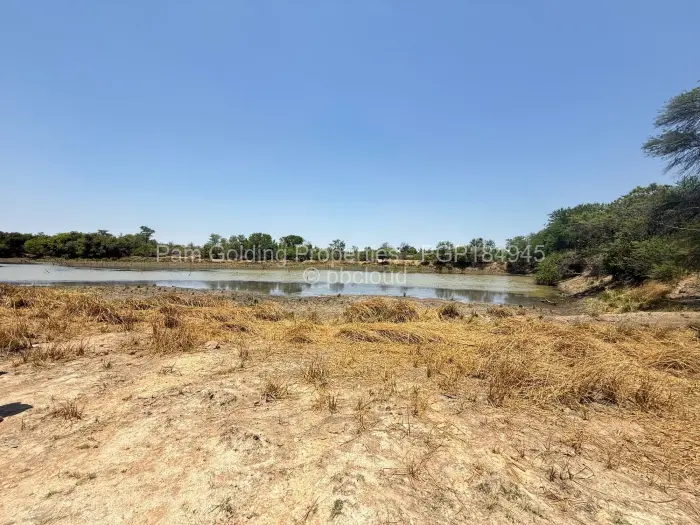 Farm/Plot for Sale in Nyamandlovu, Bulawayo